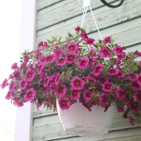 Posti Guest Haapsalu