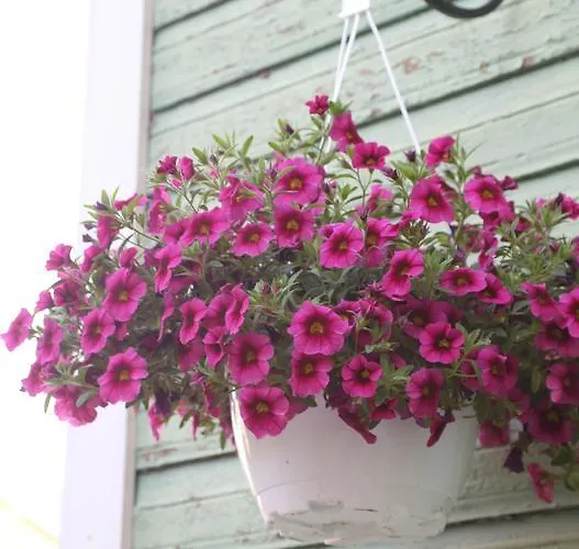 Posti Guest Haapsalu